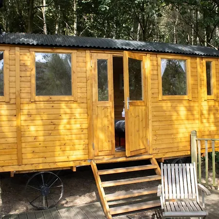 Pike'S Cabin In The Woods Hebden Bridge Exterior foto